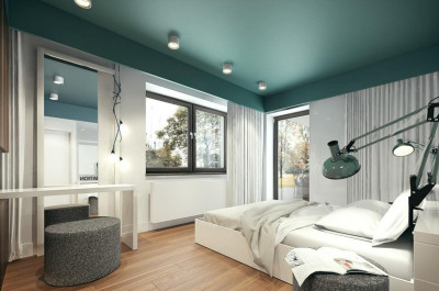 WALL & CEILING